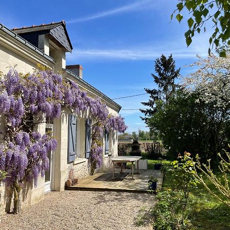Chambres D Hotes Avec Piscine Et Spa La Foliere Saumur Villebernier Экстерьер фото